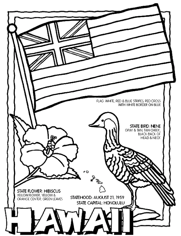 Hawaii State Tree Drawing Easy Deepzwalkalone