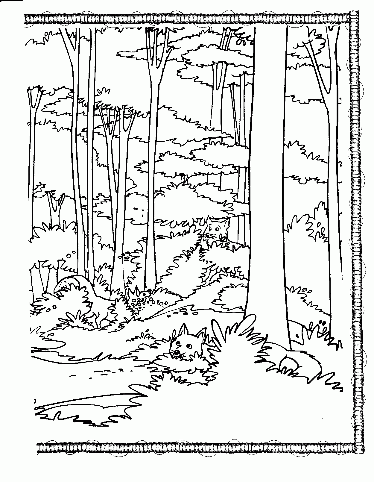 Free Forest Coloring Pages Printable, Download Free Forest Coloring