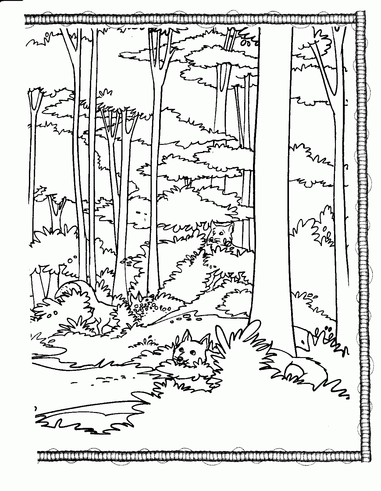 Free Forest Coloring Pages Printable Download Free Forest Coloring Pages Printable Png Images 