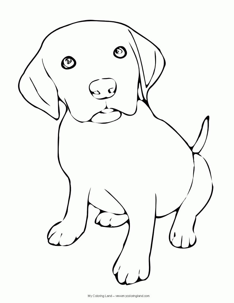 labrador dog coloring pages   Clip Art Library