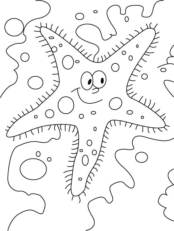 Glaring starfish coloring pages | Download Free Glaring starfish