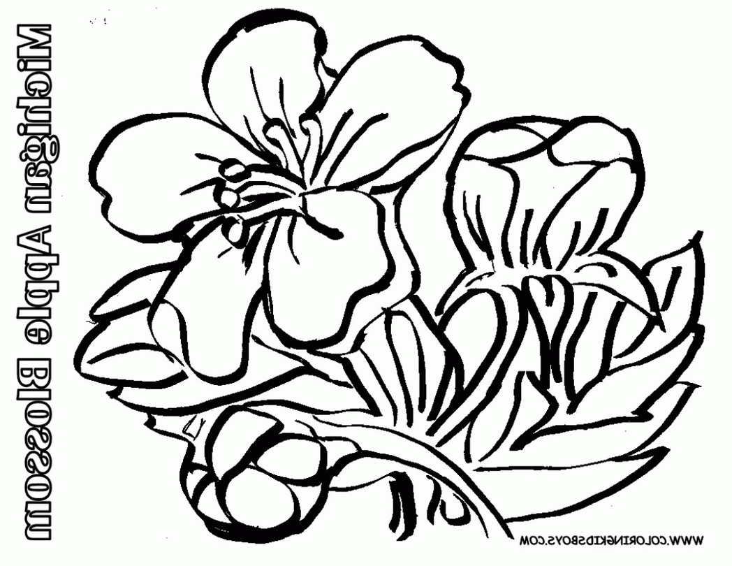 flowers-apple-blossom-coloring-pages-book-for-boys-491308