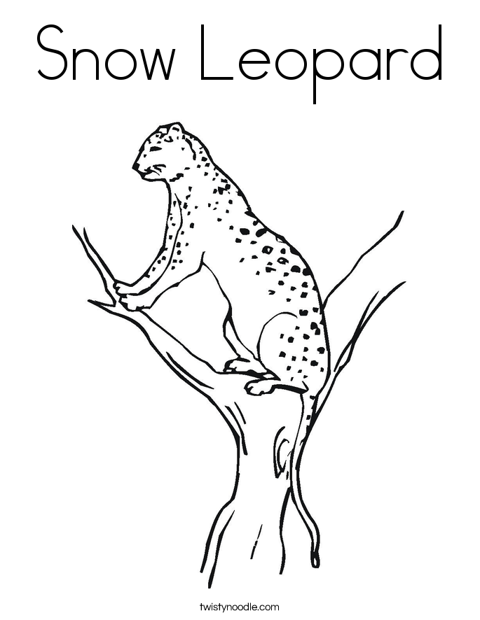 Snow Leopard Coloring Page 