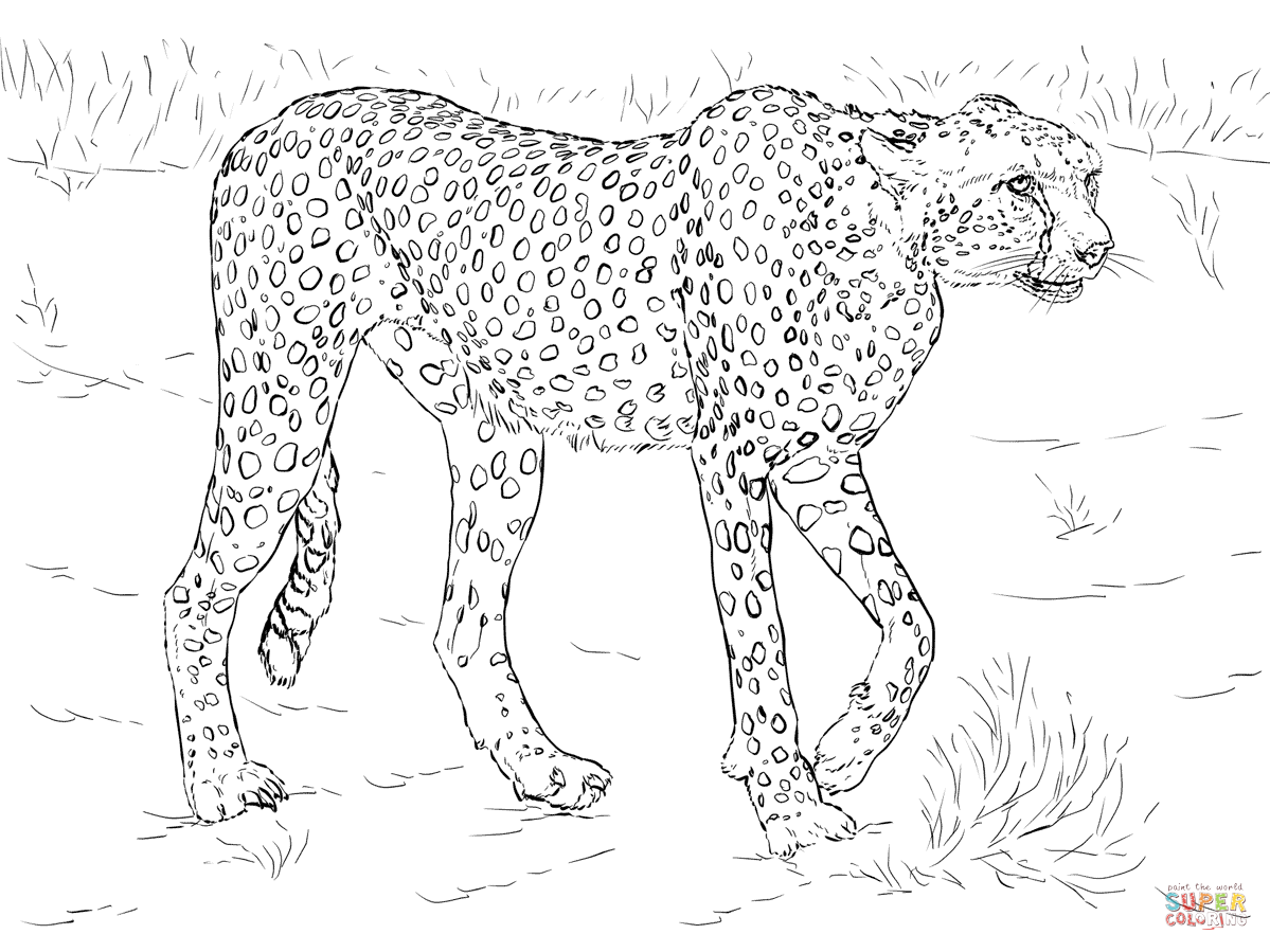 free-african-safari-animals-coloring-pages-download-free-african