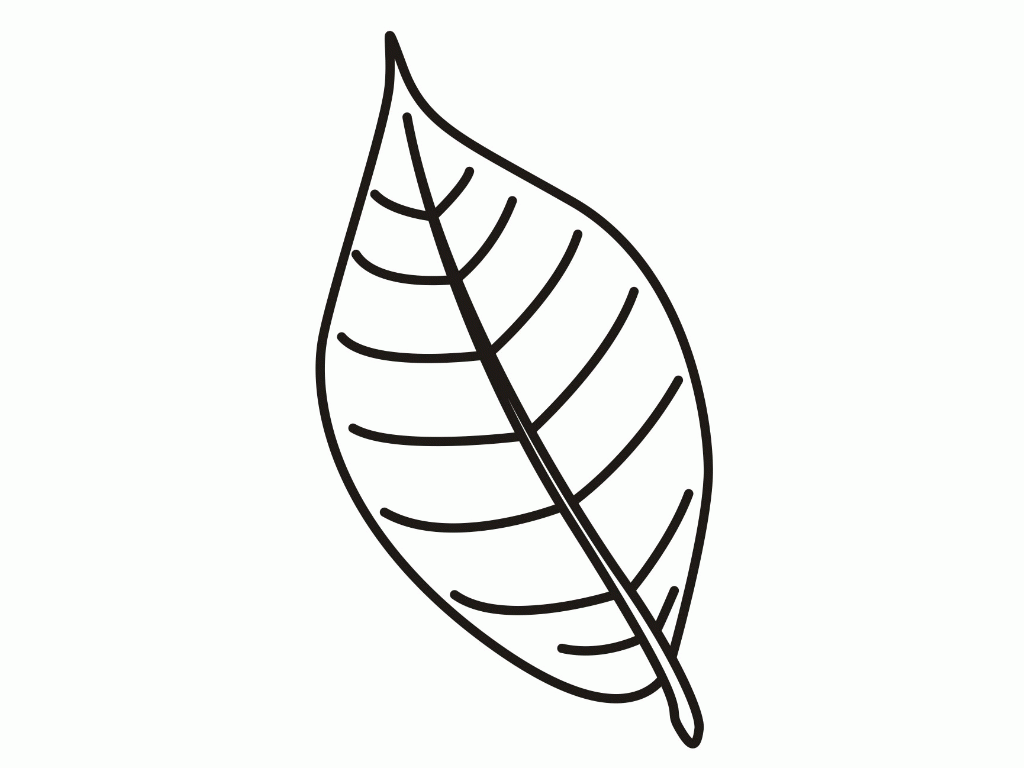 Free Leaves Coloring Pages To Print, Download Free Leaves Coloring