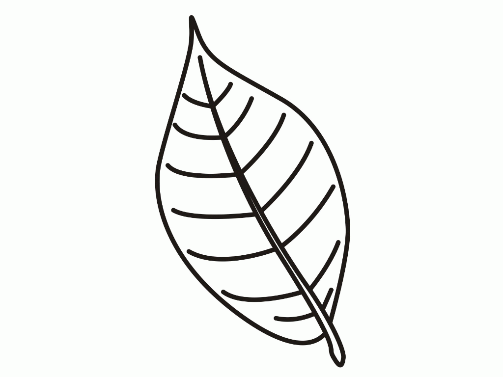 Free Leaves Coloring Pages To Print Download Free Clip Art