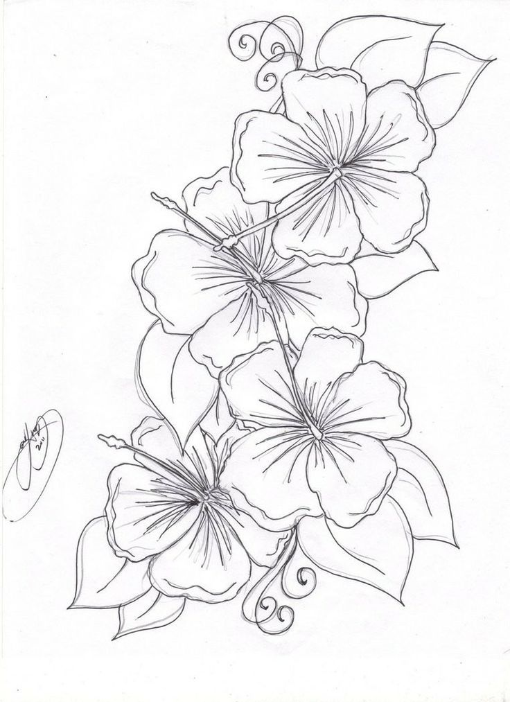  Flower Coloring Pages | Colouring