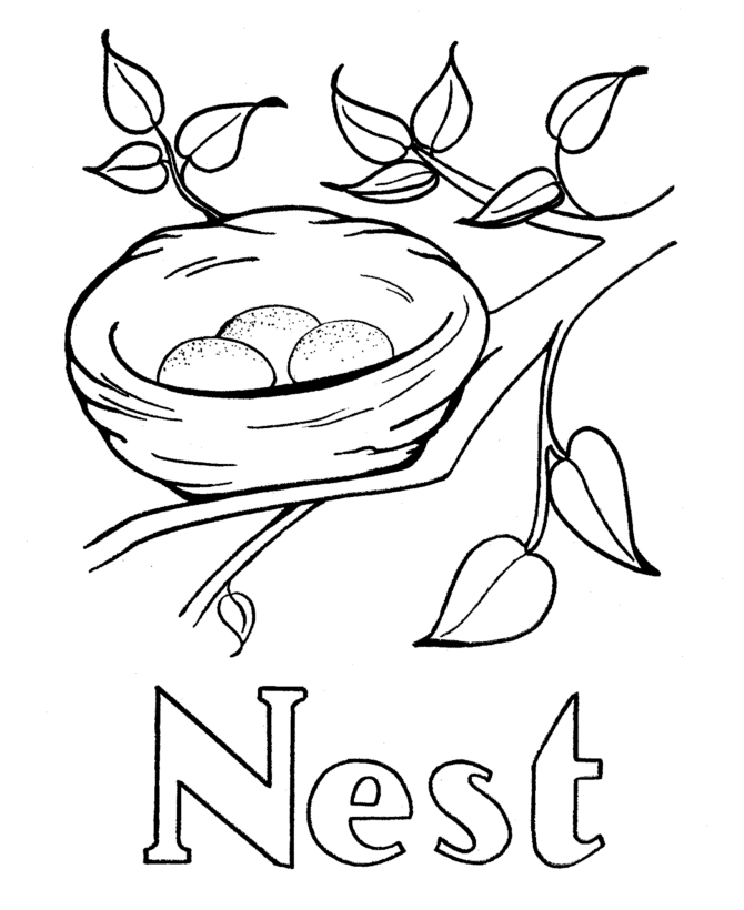 Coloring Pages Bird Nest