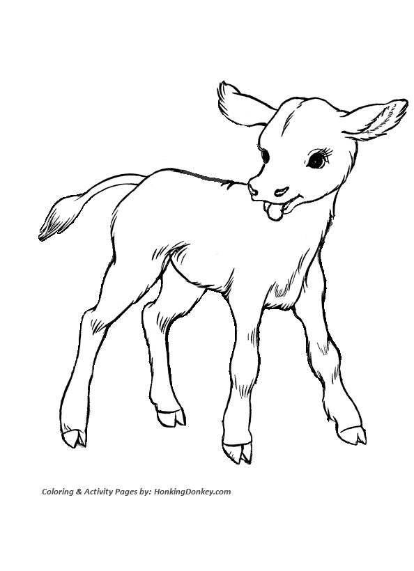 cow-colouring-page-clip-art-library