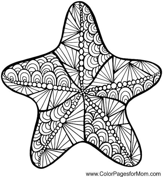 Colouring pages, Zentangle and Starfish