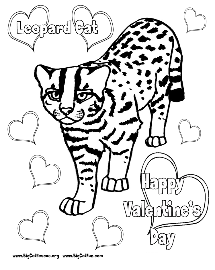 Anime Leopard Coloring Pages | Coloring Pages For All Ages