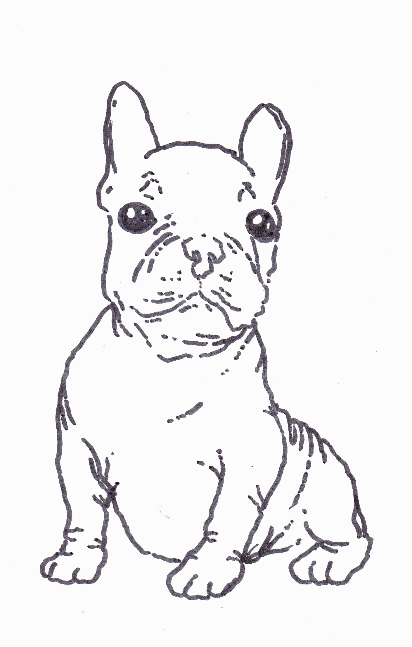 French Bulldog | Coloring Pages for Kids and for Adults