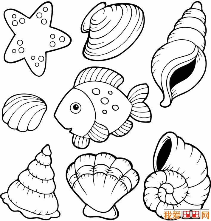 Free Coloring Pages Of Seashells Download Free Coloring Pages Of Seashells Png Images Free Cliparts On Clipart Library