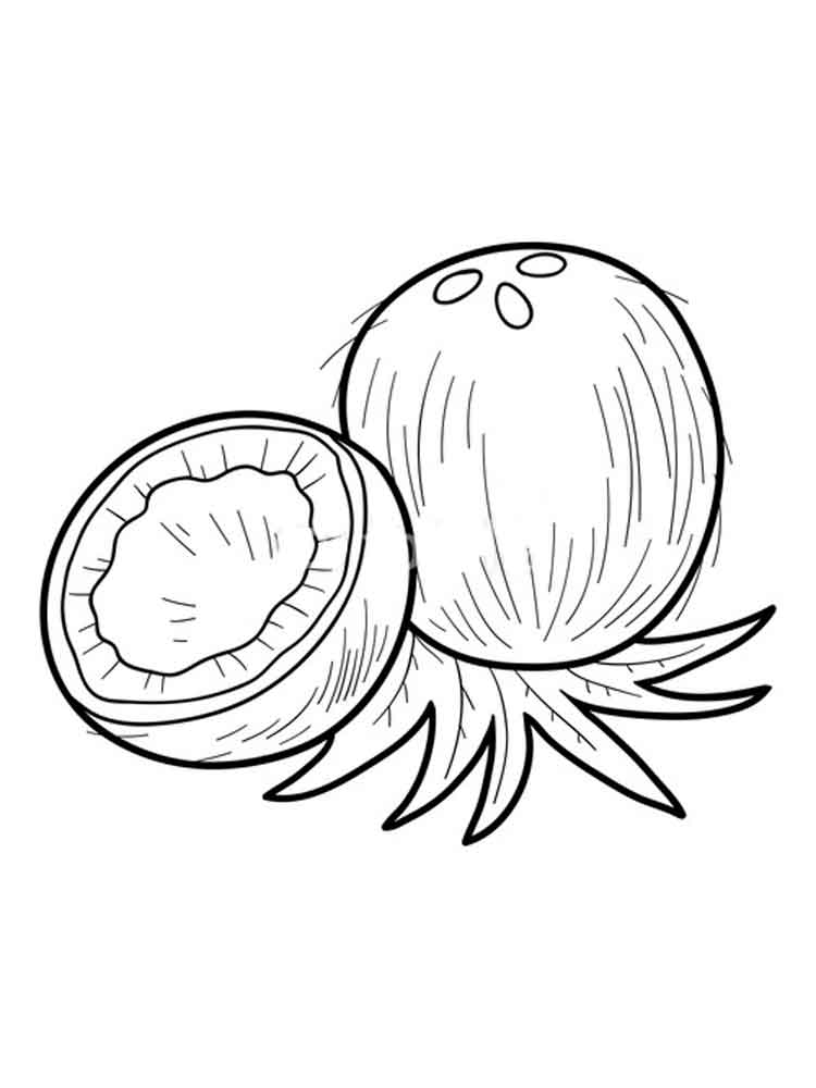 Coconut coloring pages Download and print Coconut coloring pages