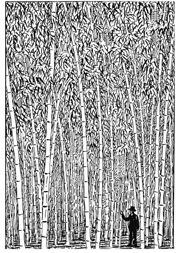 Coloring page Bamboo 