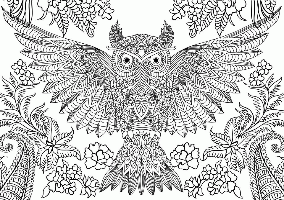 secret garden coloring pages owl cartoon