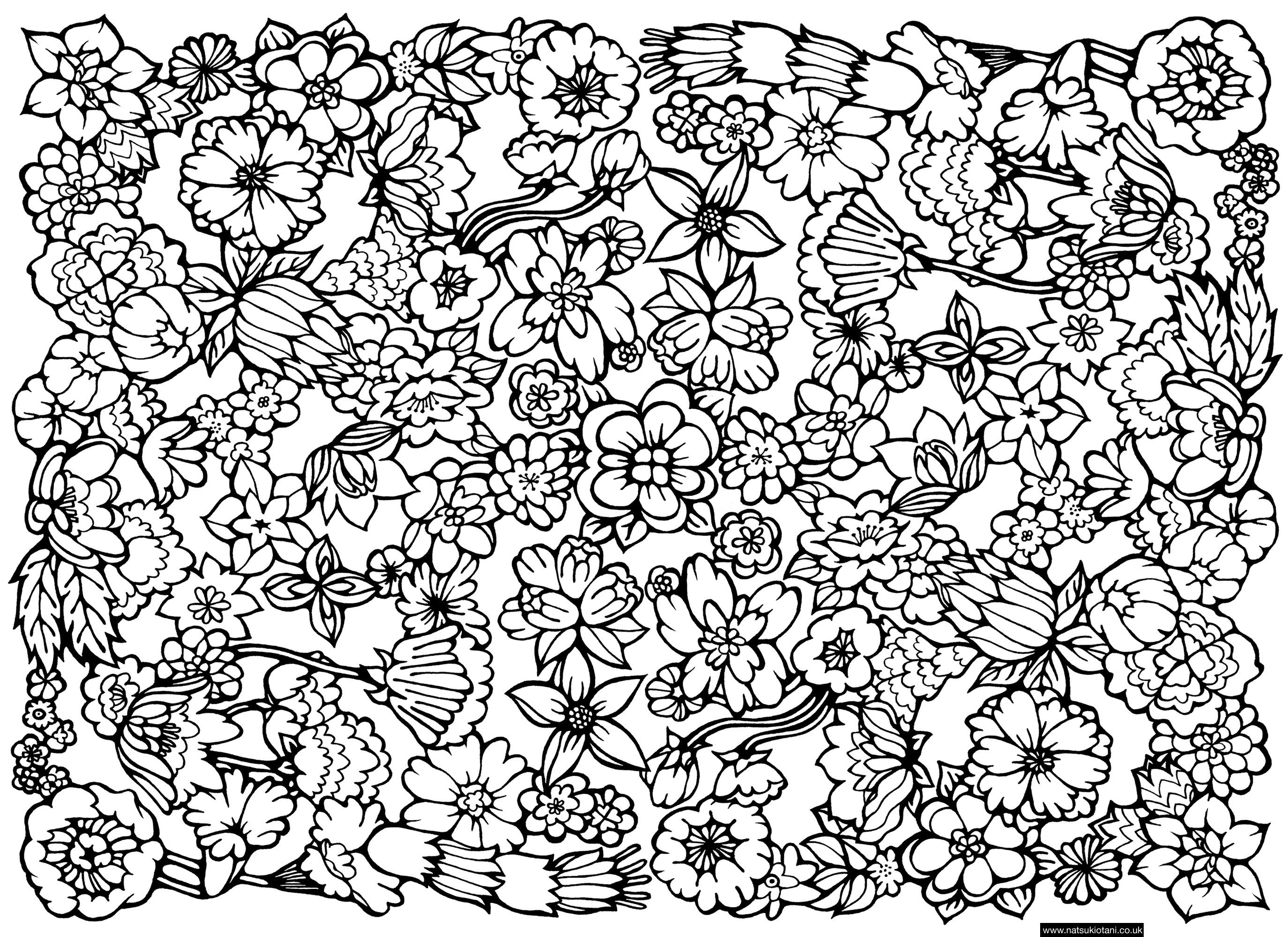 colouring pages for girls hard   Clip Art Library Inspirant