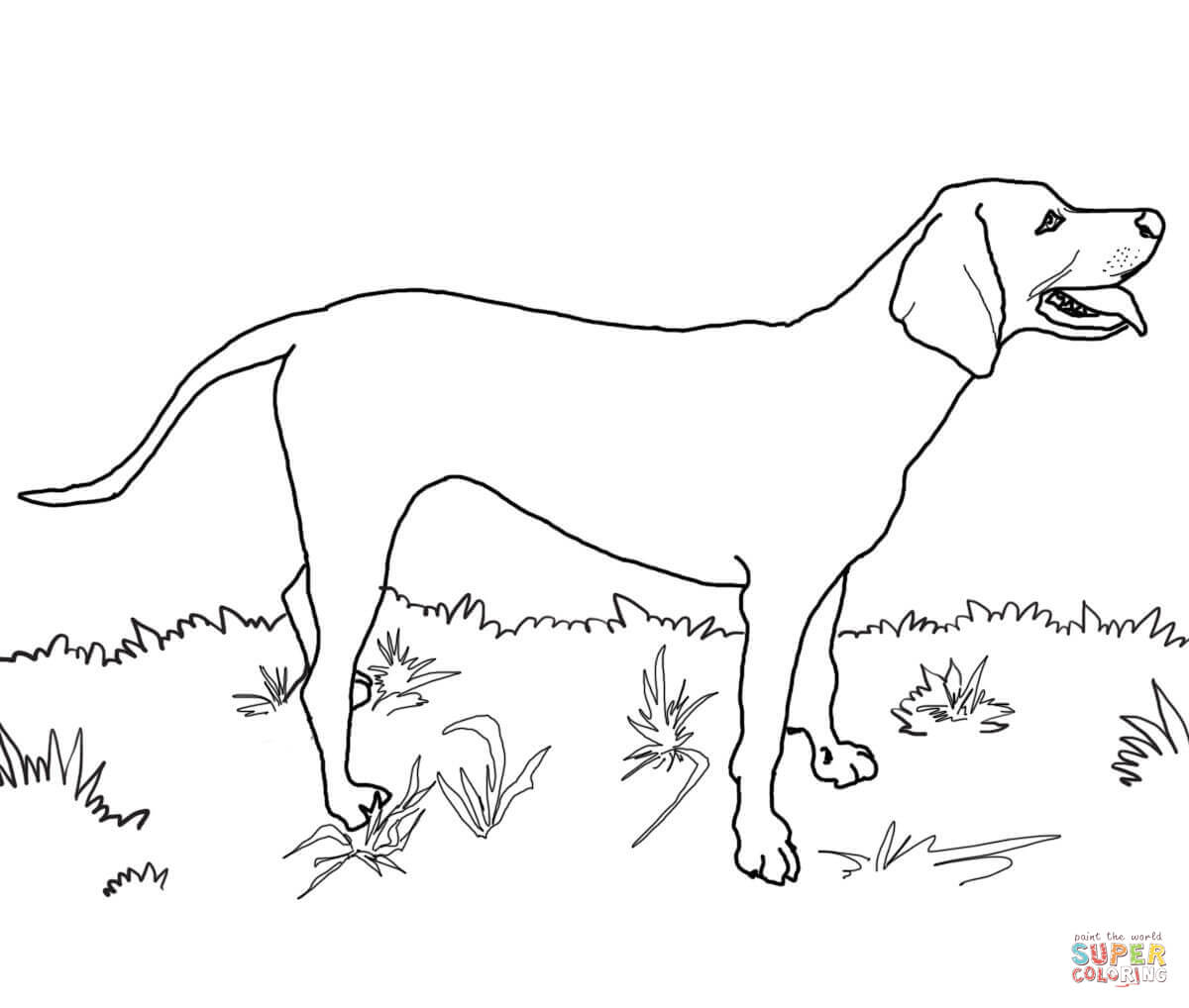 free-great-dane-coloring-pages-download-free-great-dane-coloring-pages