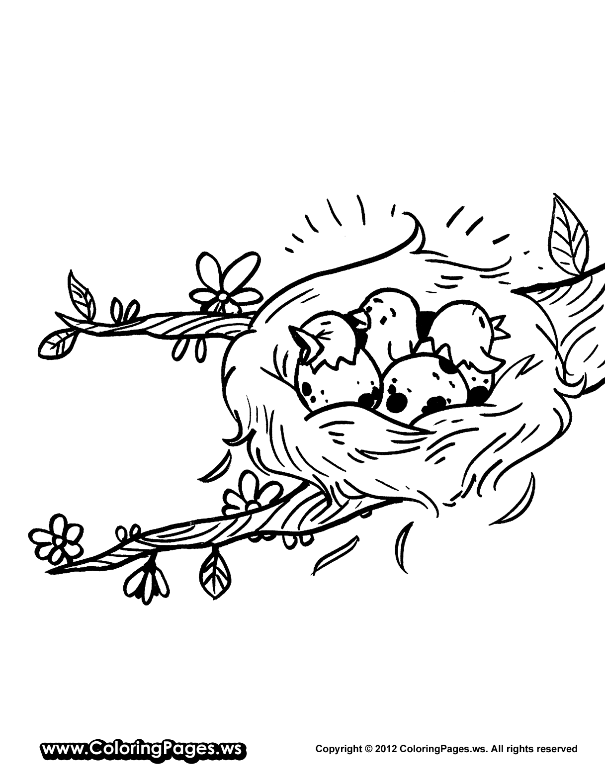 Free Nest Coloring Page, Download Free Nest Coloring Page png ...