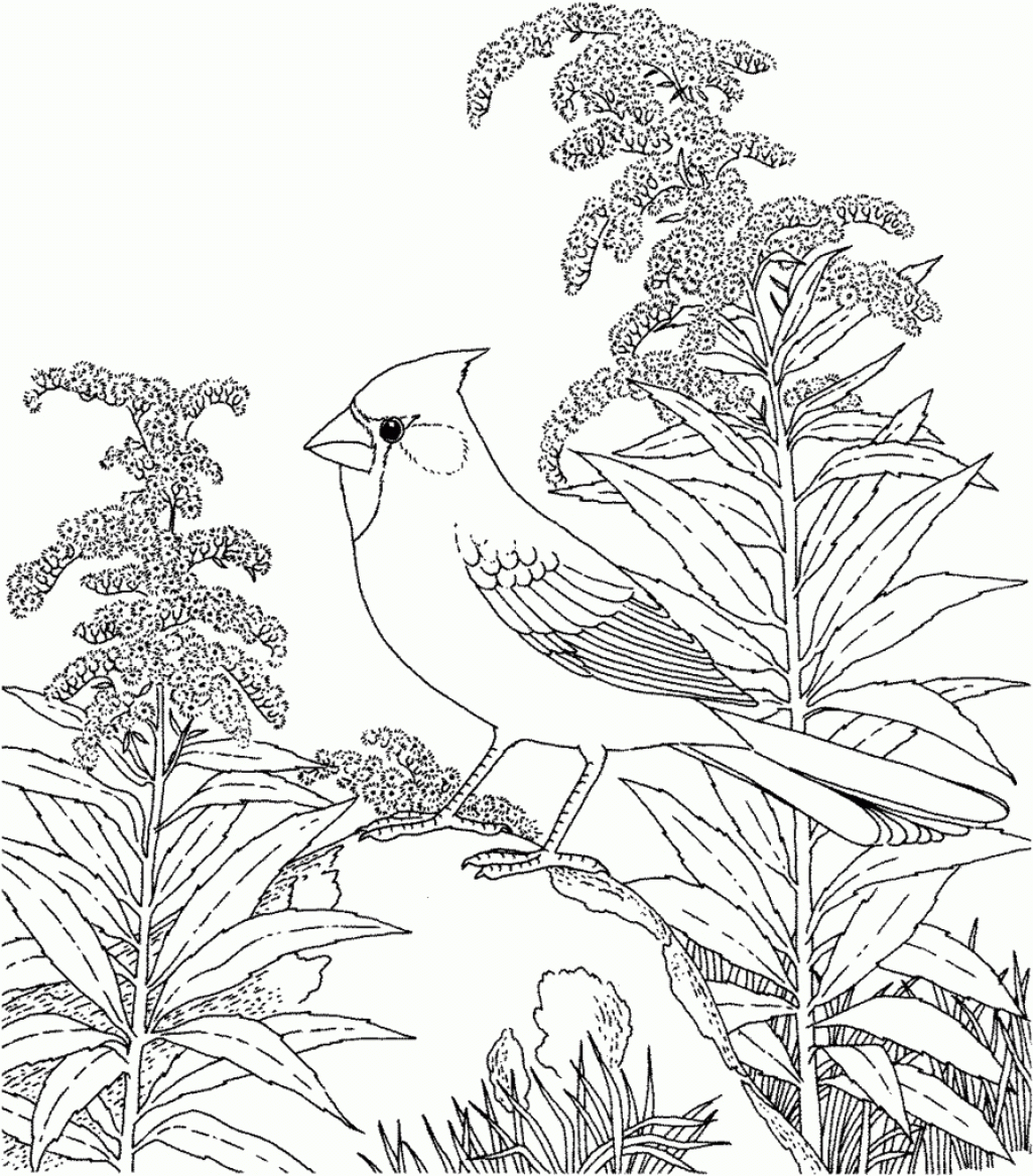 Free Nature Scenes Coloring Pages, Download Free Nature Scenes Coloring