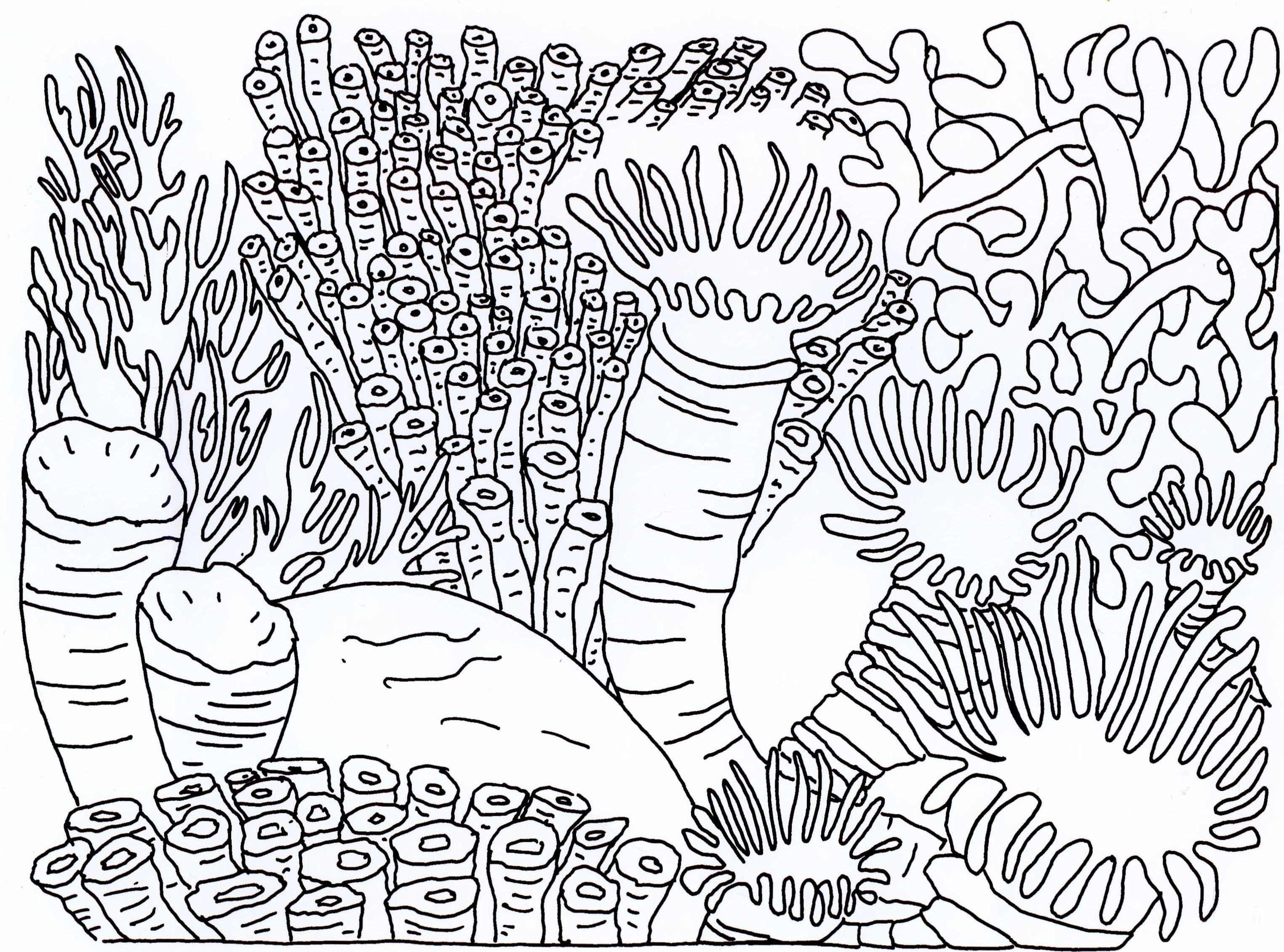free-great-barrier-reef-coloring-pages-download-free-great-barrier