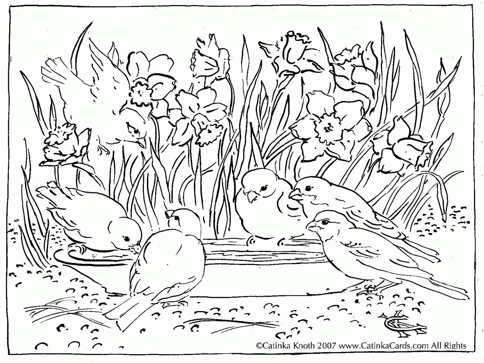Free Coloring Pages For Adults Nature, Download Free Coloring ...
