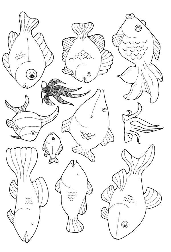  Fish Template |Clipart Library