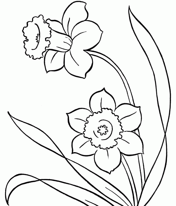 Free Spring Flowers To Color And Print Download Free Spring Flowers To Color And Print Png Images Free Cliparts On Clipart Library