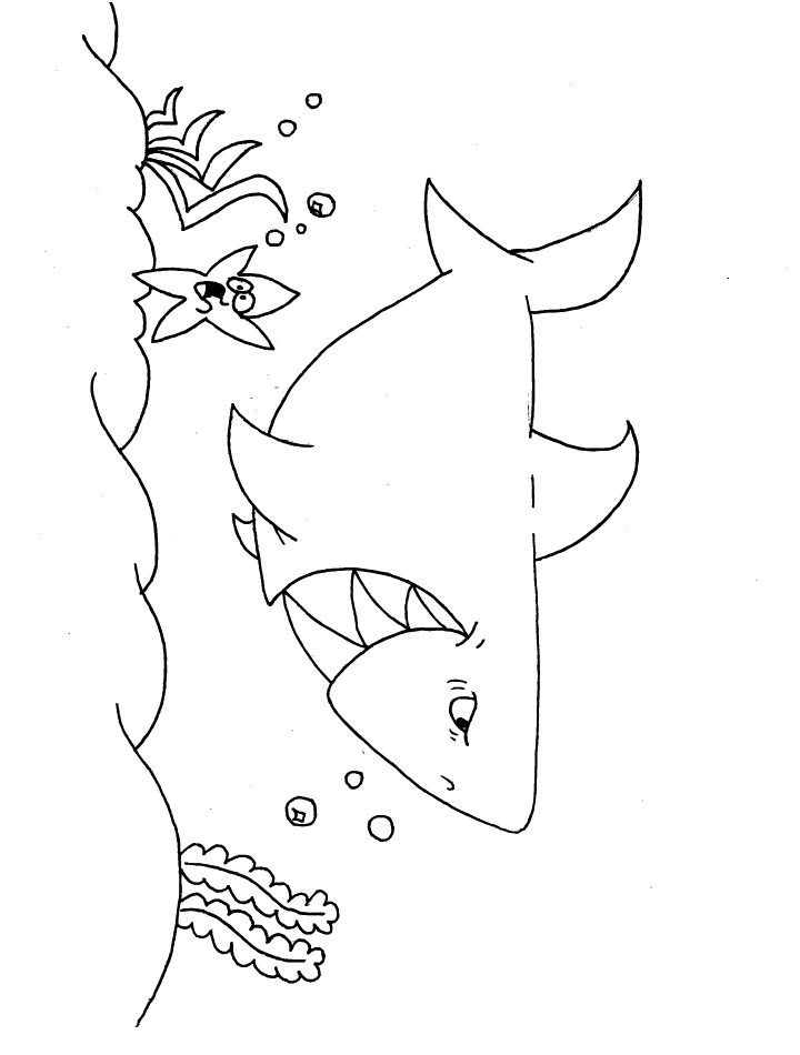 Shark | Coloring Pages and Posters