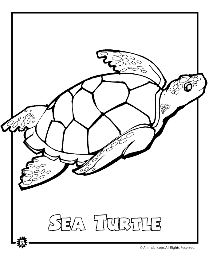 ocean animal coloring pages sea turtle endangered page