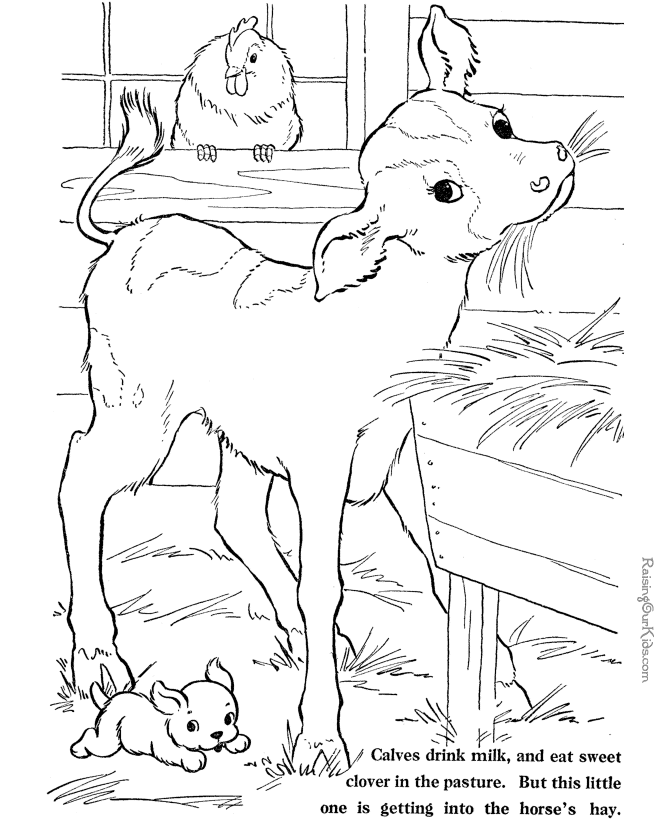 Farm Animals Color Pages Printables For Kids