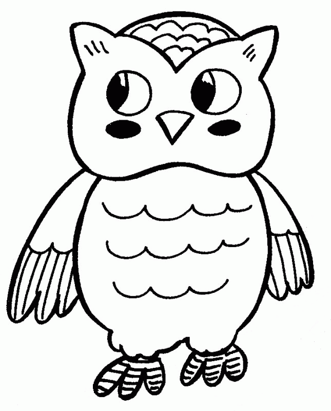 owl face Colouring Pages
