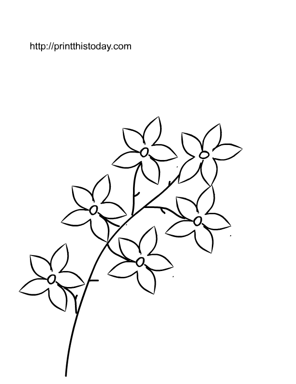 Search Results Leaf Colouring Pictures