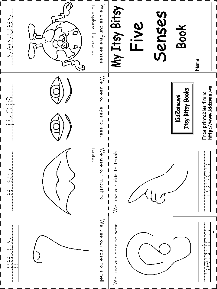 senses worksheet coloring page