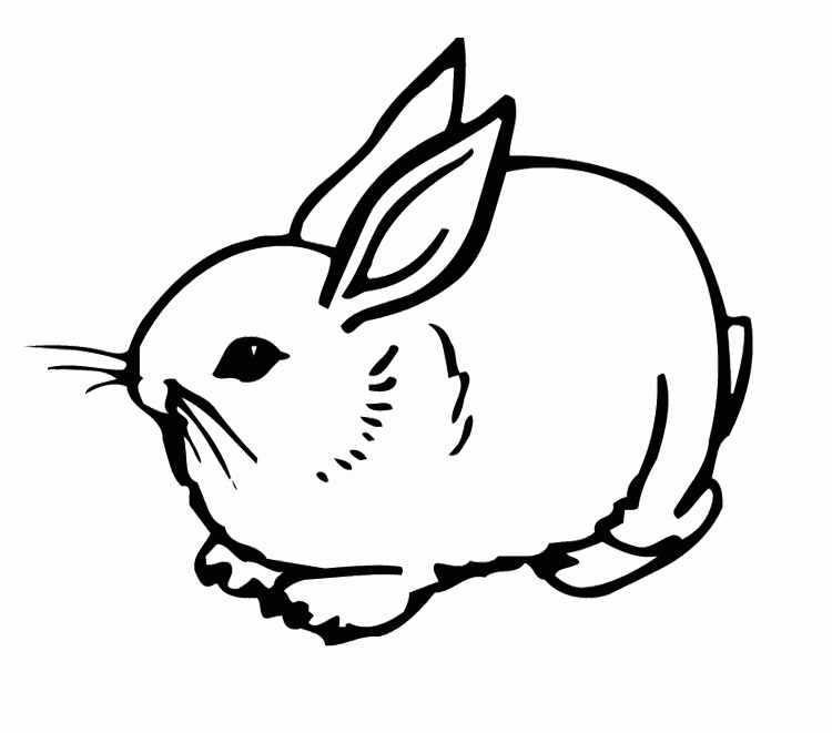 Cute Rabbit Coloring Page Is Part Of Rabbits Coloring Pages Today