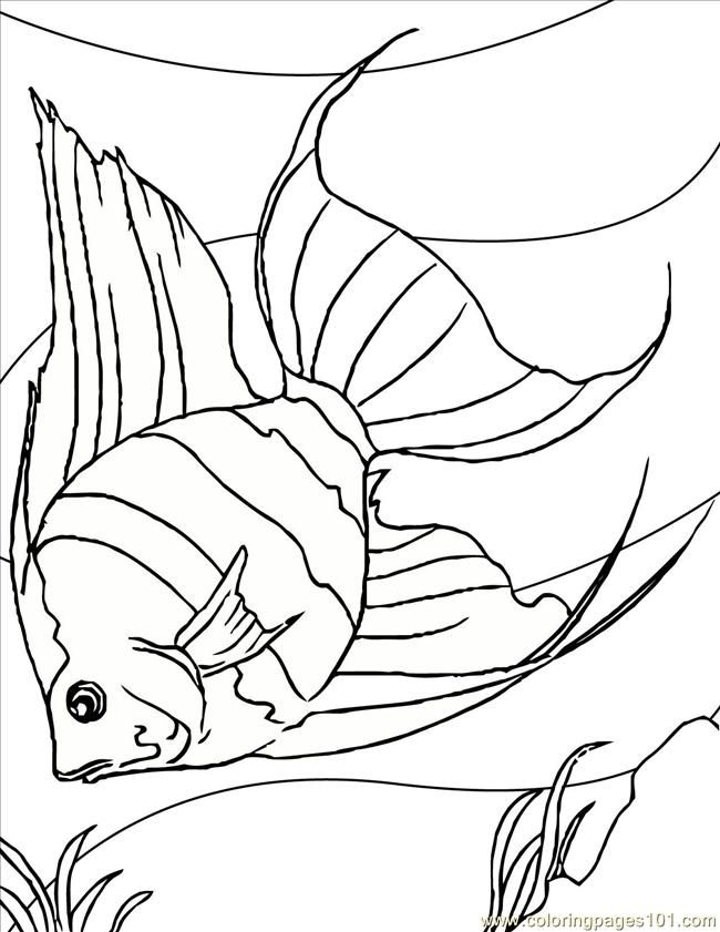 Coloring Pages Angelfish Ink (Animals  Fishes) | free printable