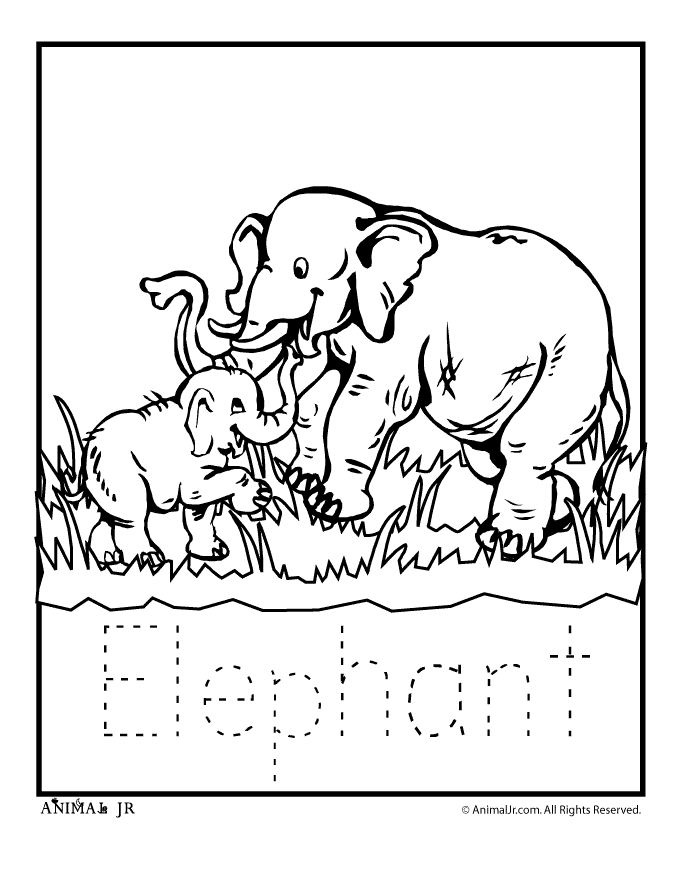 Baby Zoo Animals Coloring Pages | Free coloring pages