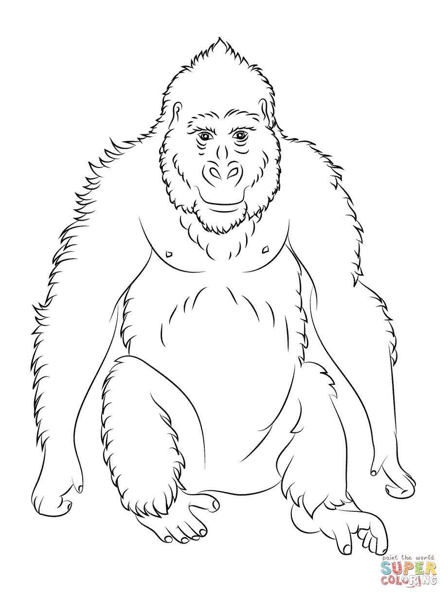 ape coloring pages   Clip Art Library