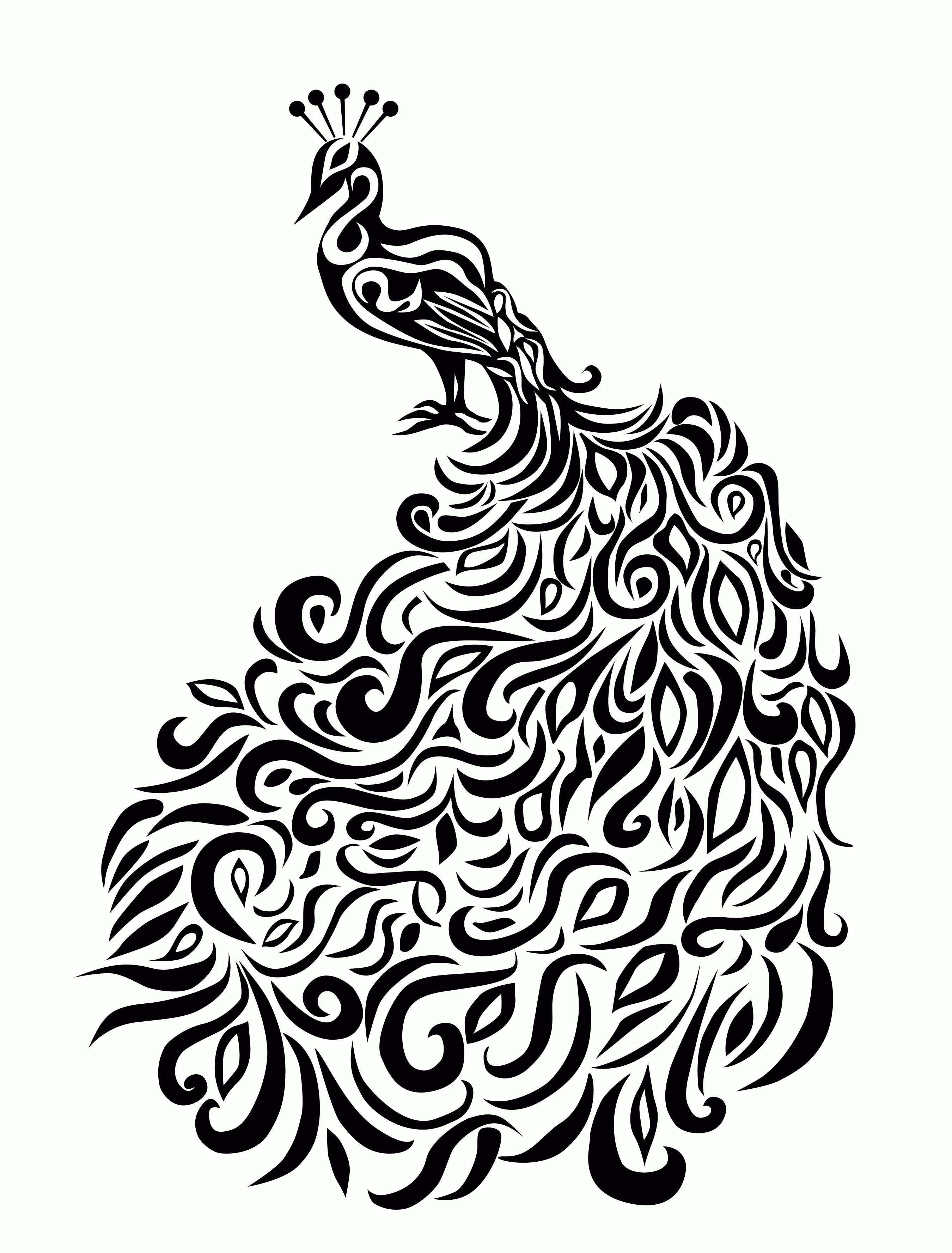 Featured image of post Free Printable Peacock Coloring Pages You need to use this photo for backgrounds on personal computer with best toralei coloring sheet