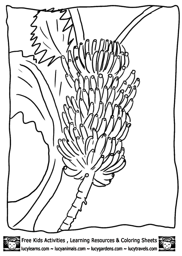 Printable Fruit Coloring Pages Bananas, Fruit Coloring Pages