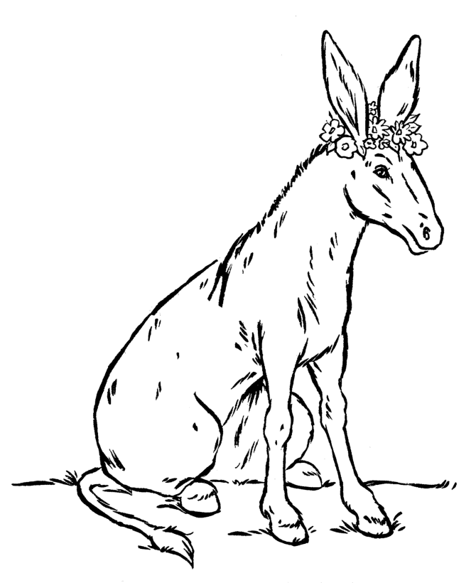 Farm Animal Coloring Pages | Donkey with Flowers Coloring Page