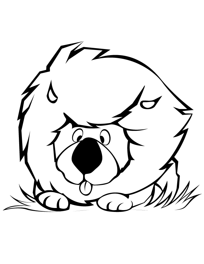 Lion Head Coloring Page | Free Printable Coloring Pages