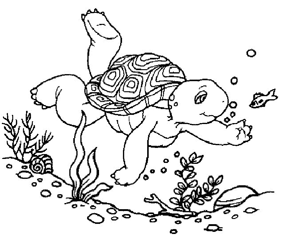 Turtle Views Franklin The Turtle Coloring Page By Admin