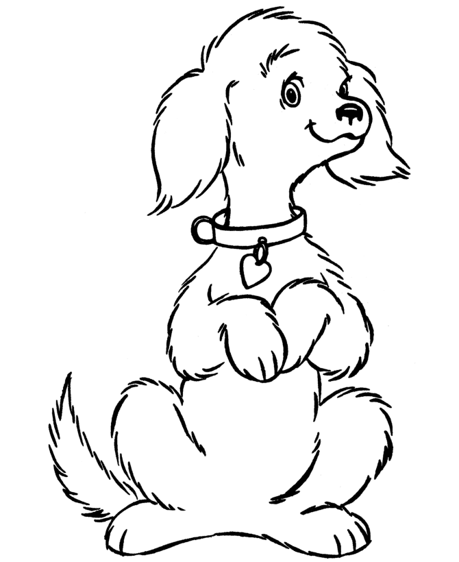 dog coloring pages printable cute pet page sheet