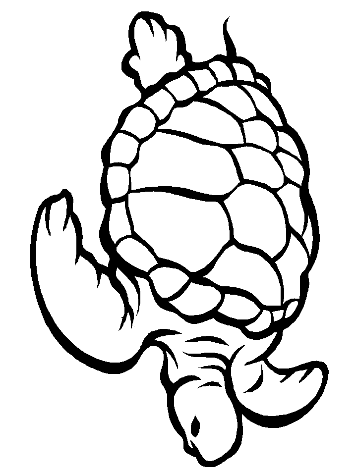 Sea Turtles Coloring Page | Free Printable Coloring Pages