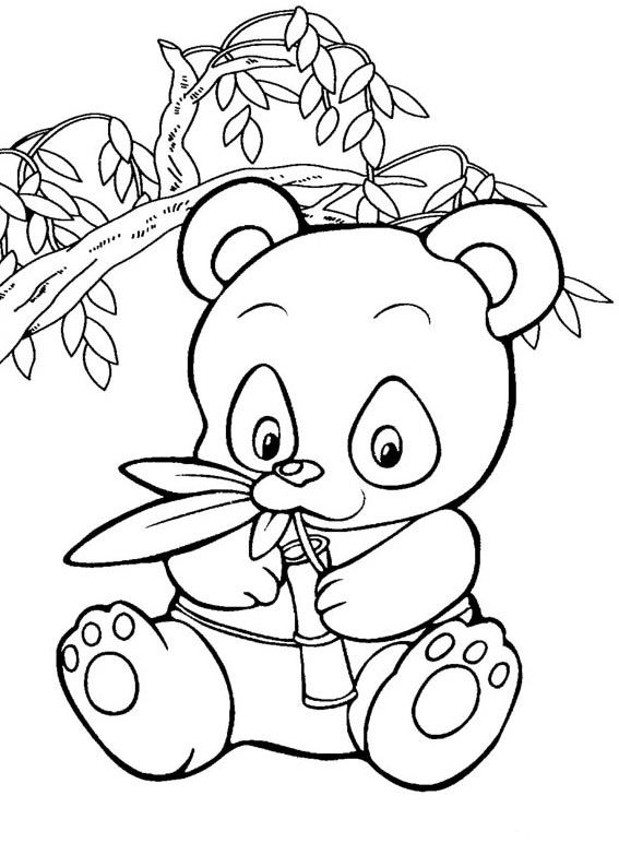 Baby Panda Coloring Pages |Free coloring on Clipart Library