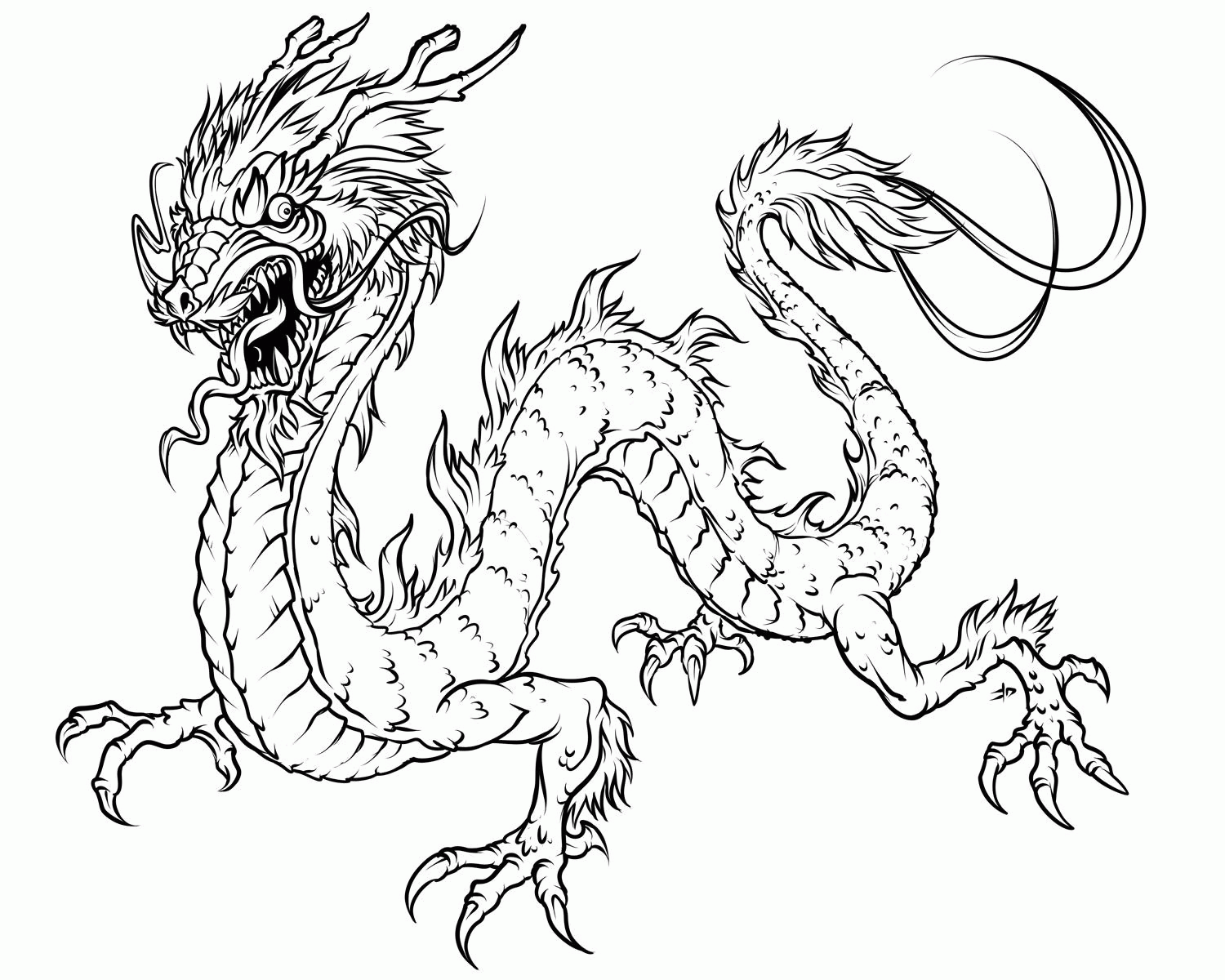 Dragon | Coloring Pages For Adults  