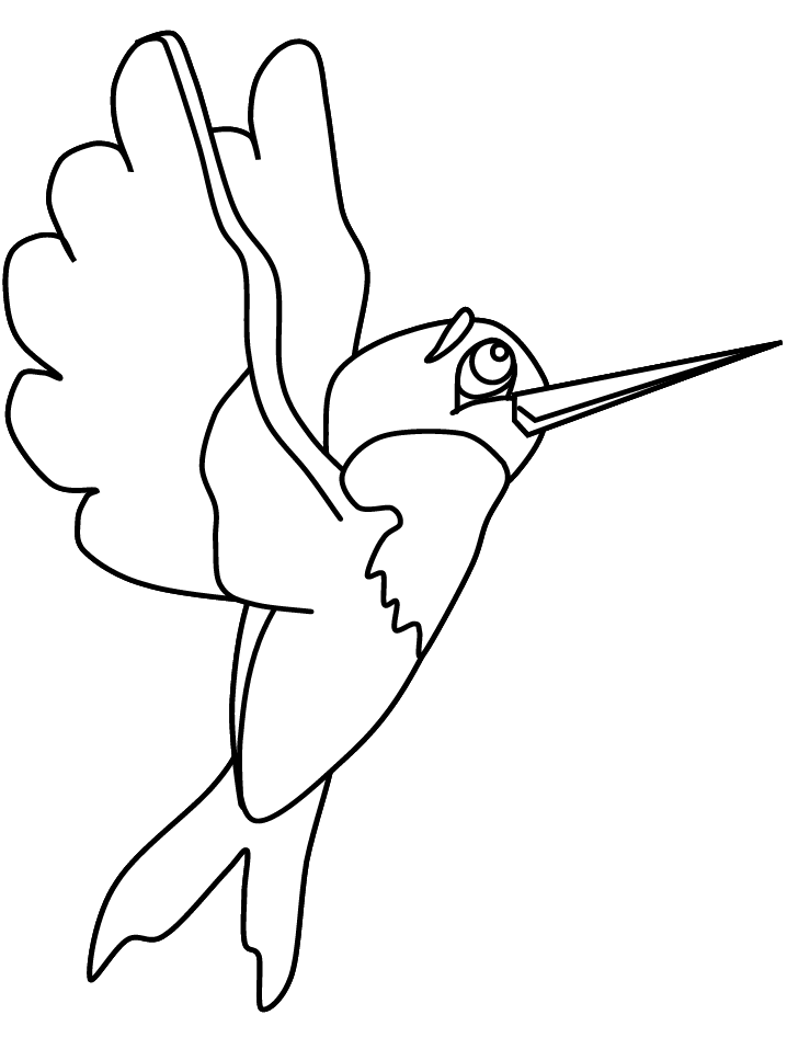 Birds Hummingbird2 Animals Coloring Pages  Coloring Book