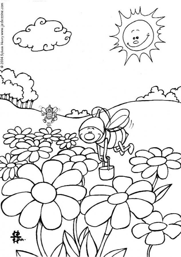 INSECT coloring pages - Small Spider