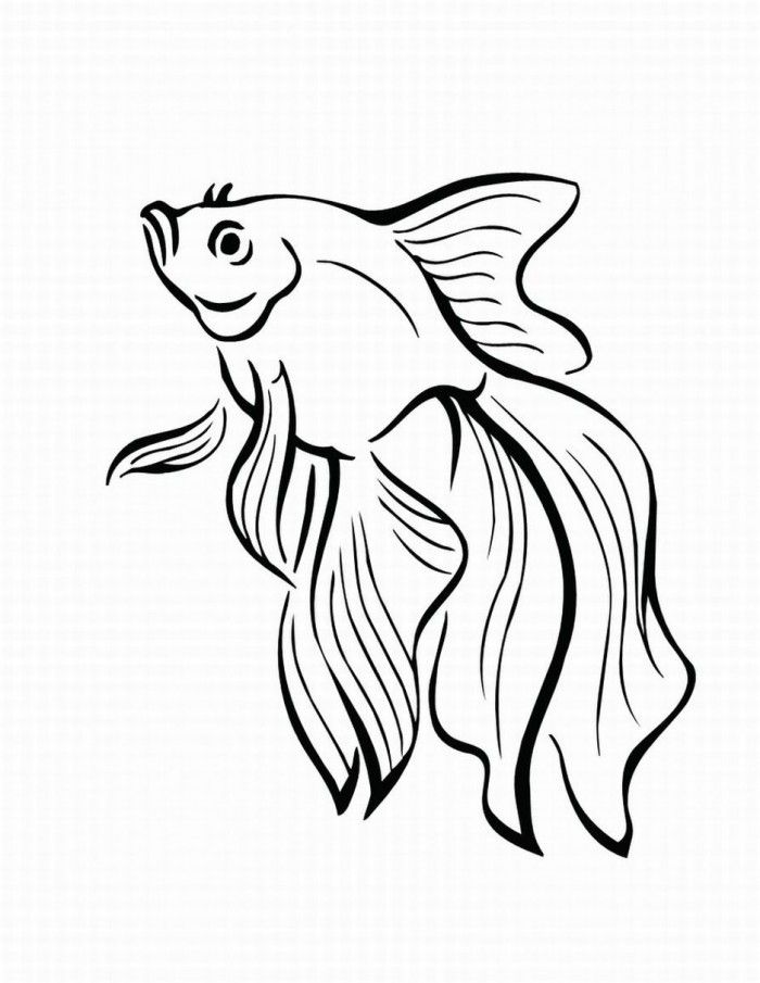 Fish | Coloring Pages For Adults com